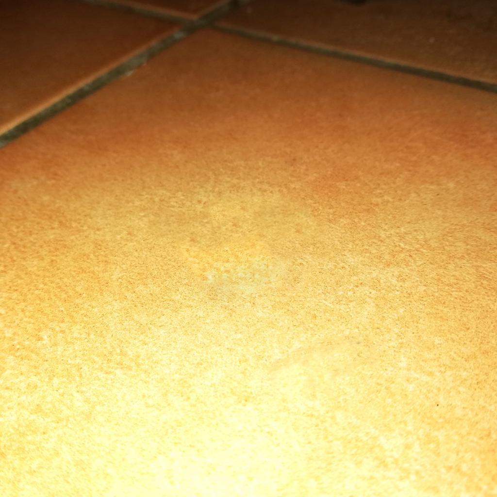 Fliesenschaden behoben
